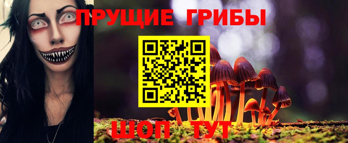 Миасс  Псилоцибиновые грибы мицелий  купить   Вход с VPN 